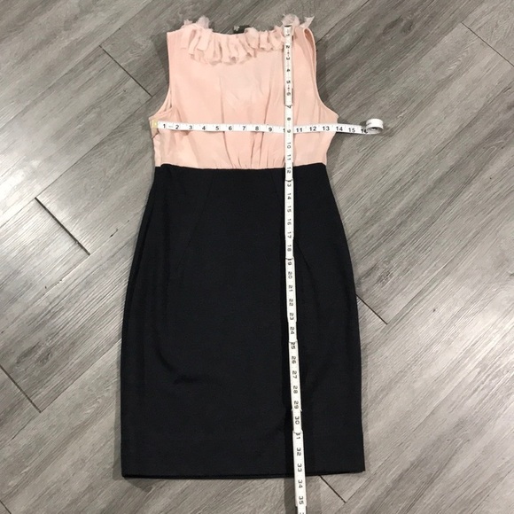 Taylor Petite Pink Silk Frayed Ruffle Neck Sleeveless Dress size 2P - Picture 6 of 7